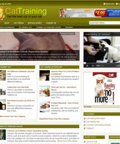 Cat Training